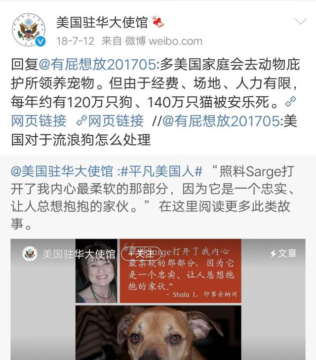 救助犬的遗言完整版:如何看待美国每年安乐死120万只流浪狗和140万只流浪猫？ 救助犬格莱特的遗言