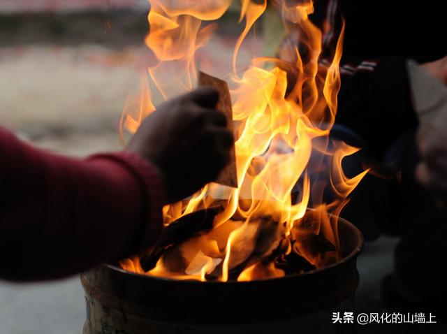 蟒蛇吃人事件:世界上最大的蛇究竟有多大
