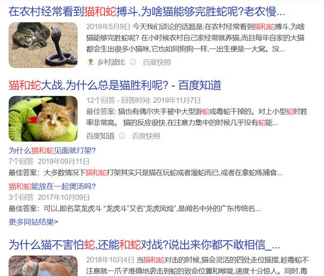 帕拉斯猫视频:为什么猫不害怕毒蛇，还能占据上风？