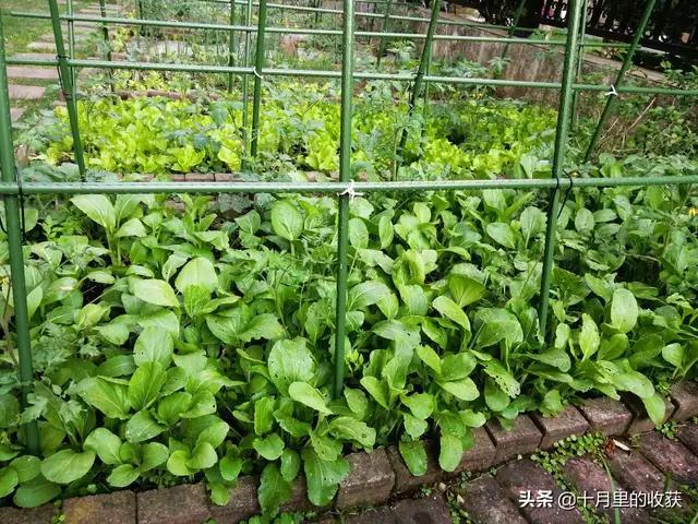 家住别墅是什么样的感觉？插图30