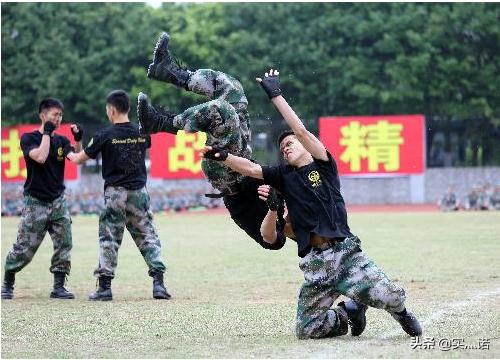 特警犬王大赛比武:警校毕业的警察擒拿格斗很厉害吗？