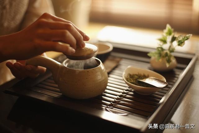 茶叶的成分和功效图,古树茶中的茶多酚有什么功效？