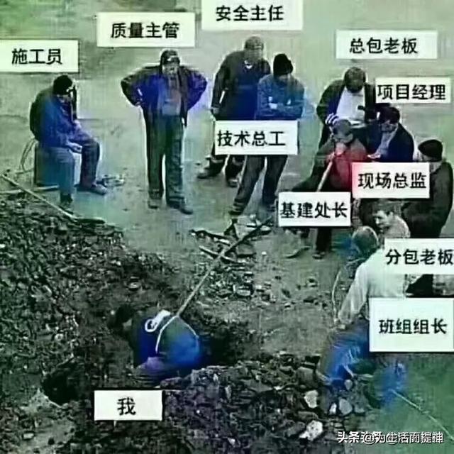 男人与母类交配网盘:农村
