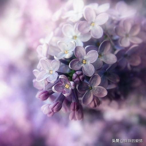 <a href=https://maguai.com/list/256-0-0.html target=_blank class=infotextkey>朋友圈</a>说说的好句子正能量短句:让人一下子充满正能量的句子有哪些？