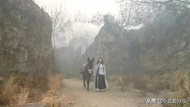 文晏:你最难忘第一个电影是什么？