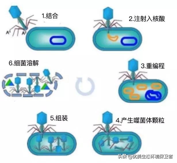 纳米机器人:纳米机器人在军事上的作用是什么
