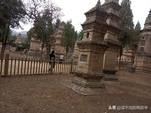 人死后真的彻底没了吗好恐怖,人为什么都惧怕死亡死亡的过程是不是特别痛苦