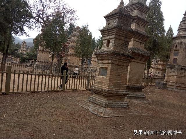 人死后真的彻底没了吗好恐怖，人为什么都惧怕死亡死亡的过程是不是特别痛苦