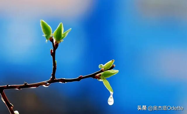 你们有没有喜欢的特别优美的宋词呢？