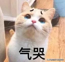 你听过最“无厘头”的死法或死亡原因是什么？