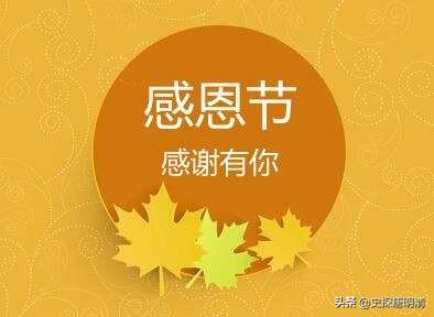 火鸡图片:火鸡在中国为什么“火”不起来？
