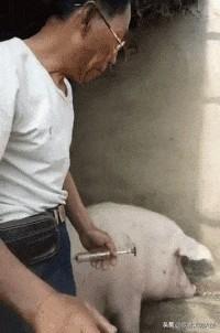中国移动近期搞的信用购活动,即用户99元套餐升级到188元套餐送手机电瓶车划算吗？