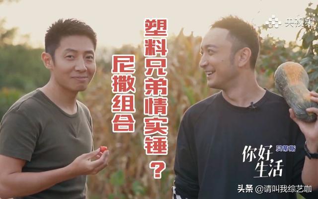 撒贝宁主持的节目:撒贝宁不是央视的主持人吗？怎么老看他参加各种综艺节目？
