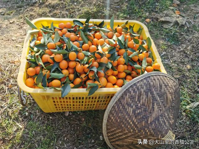 水果门店该如何借助微信小程序提高销售量