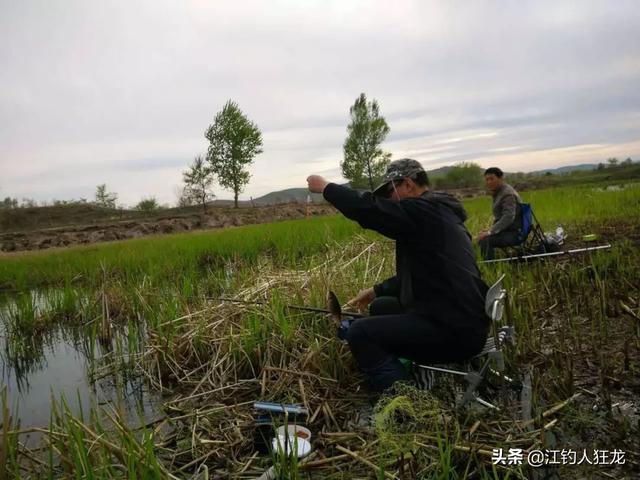 伏尔加河的鱼的个人主页:十一这几天，常见轻口鱼，原因是什么，该怎么调整做钓？