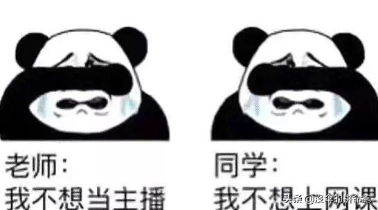 智学网教师端登录首页，教师如何从智学账号中导出学生成绩单