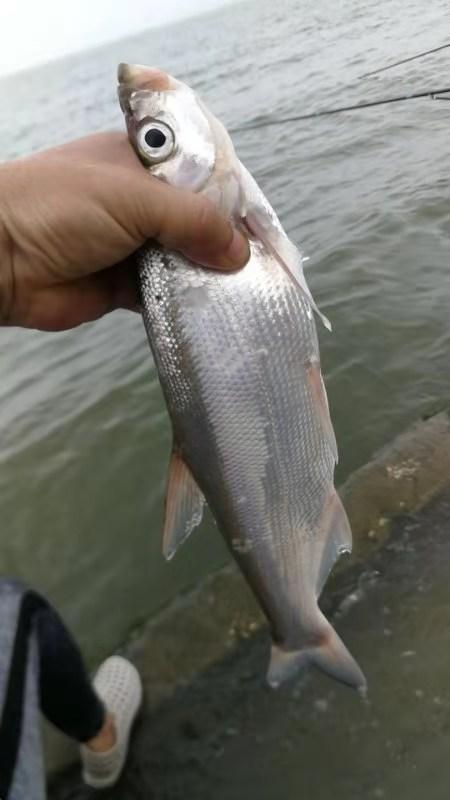 全部钓鱼时鱼钩在水的什么位置比较好?共48条回答提问超过了96.