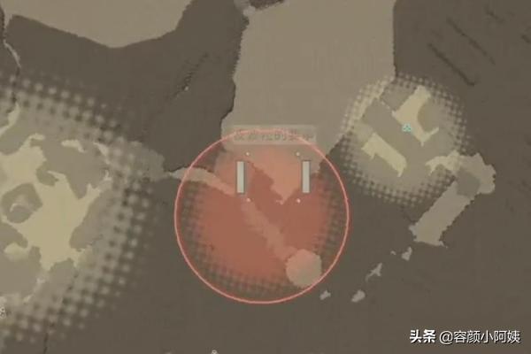 巴巴万加:特朗普有没有可能成为因为选举引发美国国内动荡的