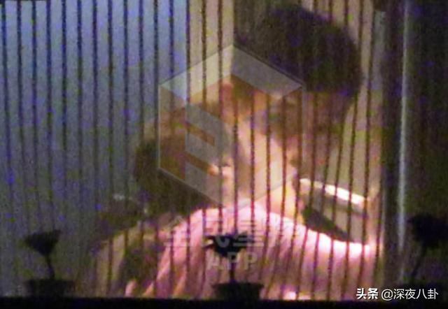 赵继伟宣布求婚成功:魏晨结婚了，他什么时候有的对象？
