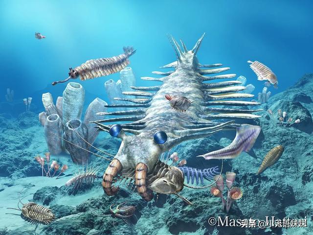 远古巨兽大复活旋齿鲨:远古巨兽旋齿鲨 地球上有哪些奇异的史前生物？