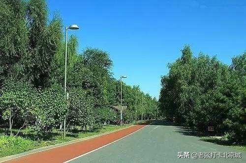通州大运河森林公园健走方案:北京最适合跑步的公园有哪些？