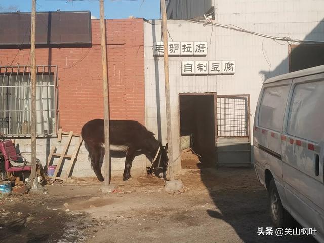 山东人闯关东后为何没保留住自己的方言，而东北方言又是如何起源的？插图25