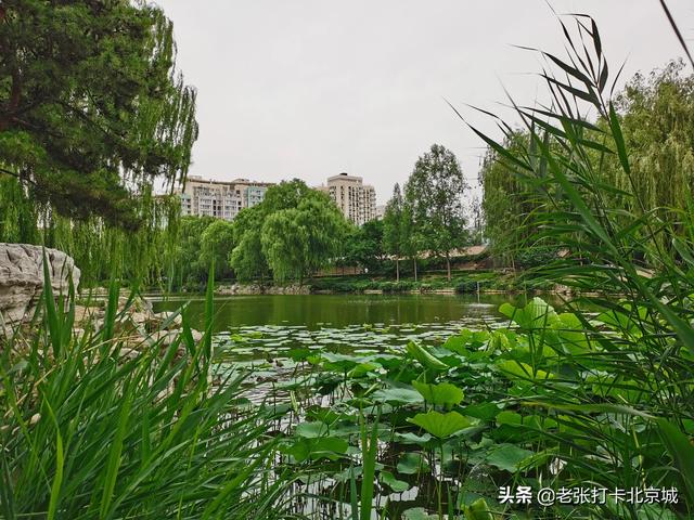 通州大运河森林公园健走方案:北京最适合跑步的公园有哪些？