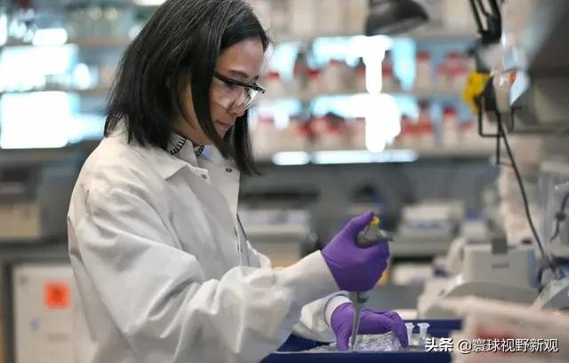中国畜牧狼才网官网:中国畜牧网最新消息 真相说漏嘴了！特朗普泄露白宫惊天秘闻，这回还怎么狡辩？