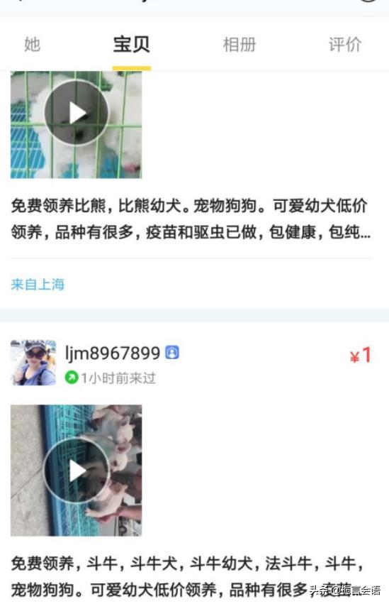 闲鱼宠物交易:如何在闲鱼上买狗不被骗？ 闲鱼宠物交易流程