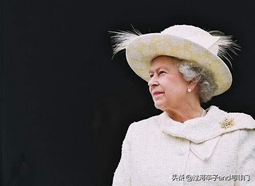 英国女王的狗狗:宠物纠纷，狗狗咬死了别人家的狗狗。我该怎么处理？