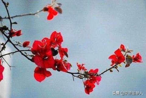 女人花剧情:玩头条的女生都是些什么性格的人？