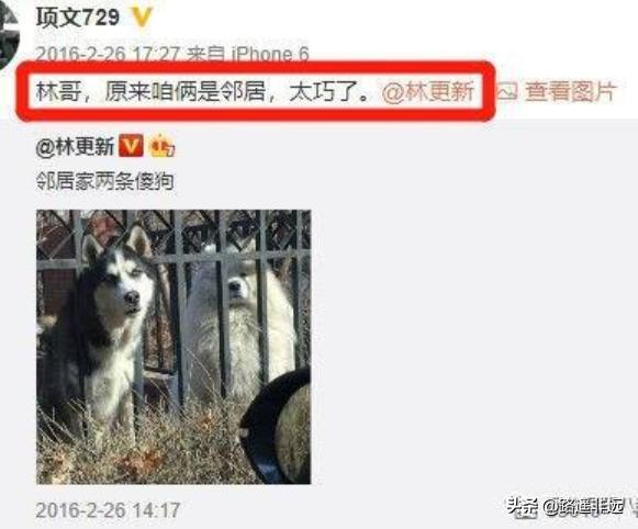 samoyedboy的微博:为什么说林更新是娱乐圈的一股清流？