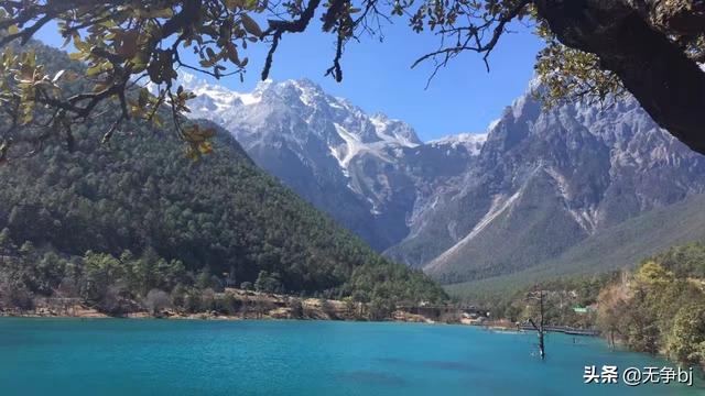 西安藏獒赶集网:你旅行和自驾游的历史上，你经过最高海拔是多少？有何奇特经历？ 西安藏獒基地