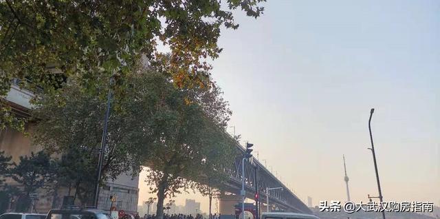 武汉板车哥:你觉得网红是什么粉丝又是什么呢
