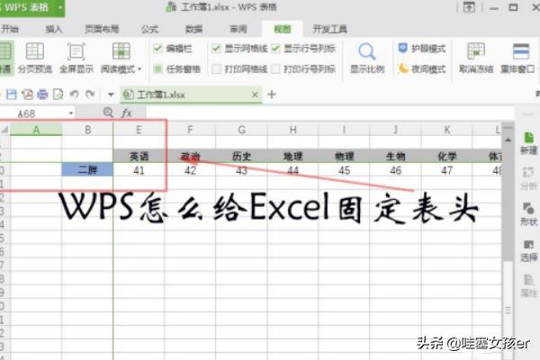 wps如何设置固定表头？