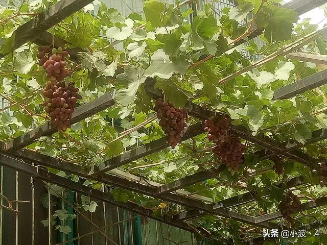女追男,约男孩子出来男的从来不买单,虽然是我追他,但是他又吃又拿,吃完立刻走人,这样真的好吗？