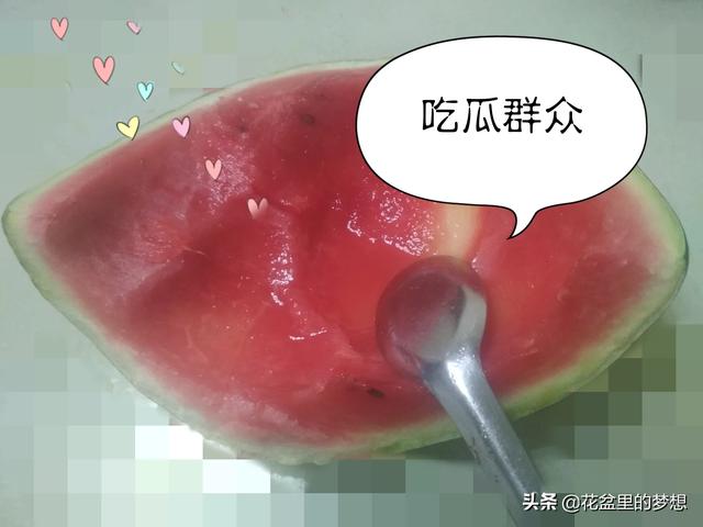生意感觉做不下去了,想转行,有什么好的项目？