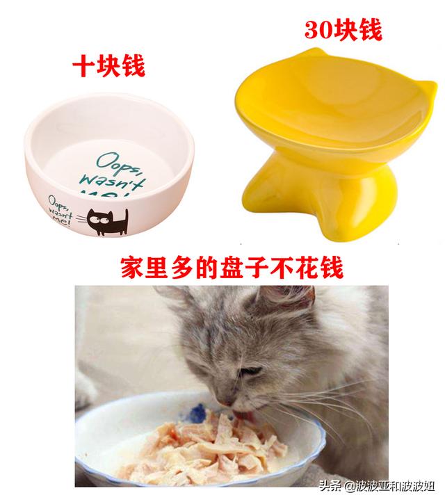神采飞扬宠物团购:神采飞扬宠物店 亏损持续，商家“逃离”，美团为何深陷困局？