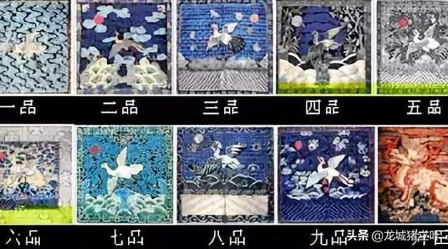 白鹇鸟:古代官服上为什么绣有鸟兽？