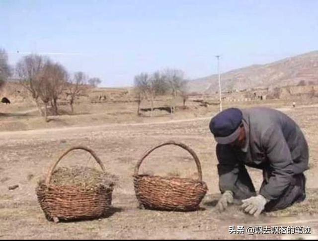 郭晶晶老公身价:全红婵连夺3金，工资等级能提升多少到手能拿多少钱