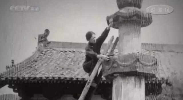 林微因经典作品:三毛，林徽因，张爱玲的哪些书值得一看？