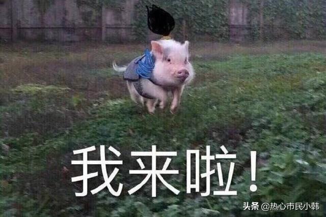 抖音号初期怎么运营？