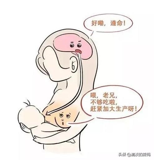 通草鲫鱼汤可以经常喝吗:通草鲫鱼汤男人可以喝吗 天天喝鲫鱼汤奶水还是不足，该怎么办？