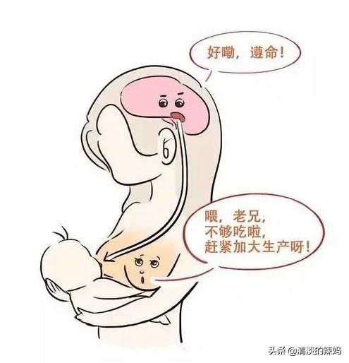 通草鲫鱼汤可以经常喝吗:通草鲫鱼汤男人可以喝吗 天天喝鲫鱼汤奶水还是不足，该怎么办？