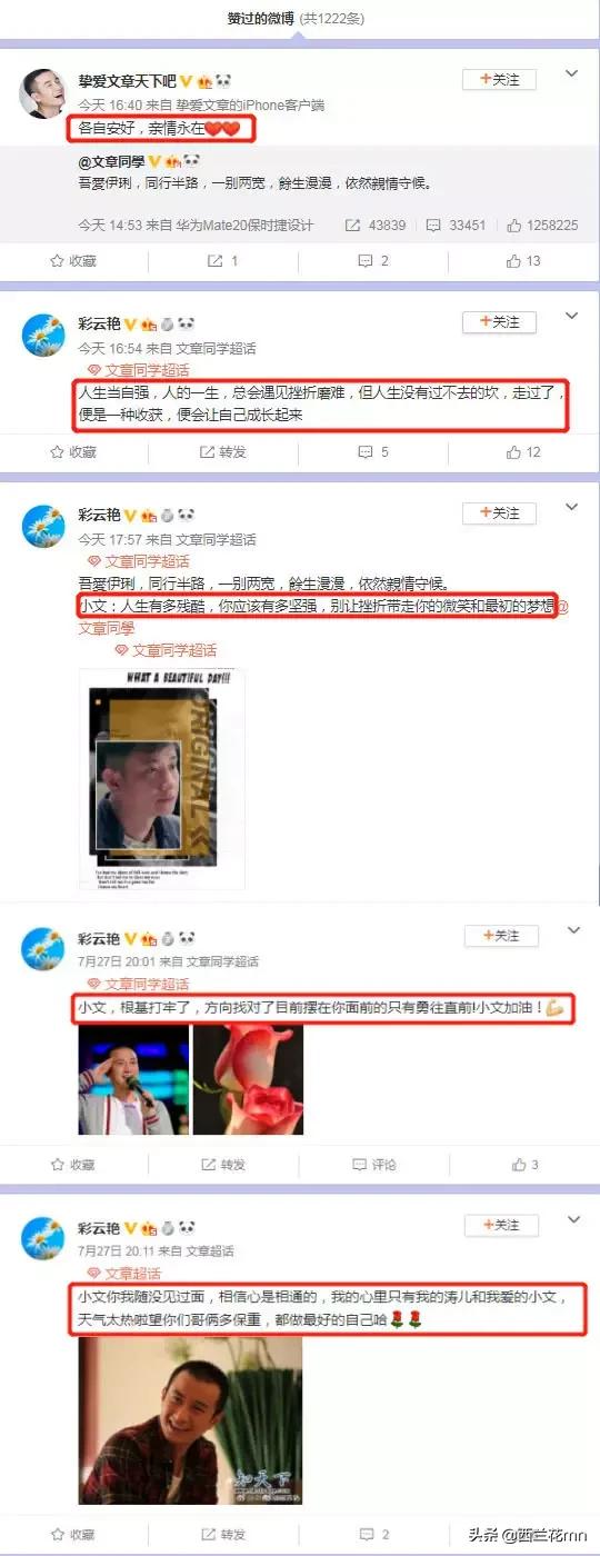 文章的儿子:马伊琍与文章离婚财产如何分配孩子怎么判的