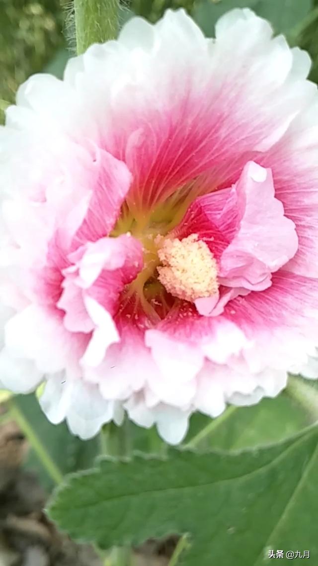 太怀念一个人,有错吗？