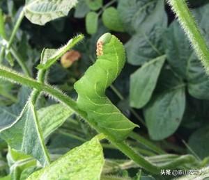 巢湖七中灵异事件:无锡和合肥比较哪个城市更适合定居？