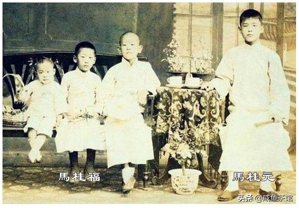 王亚忱:马三立十位知名高徒，多数为拜门，得到真传的徒弟是谁？