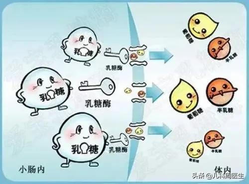 乳糖不耐受宝宝最常见的症状有哪些？插图11