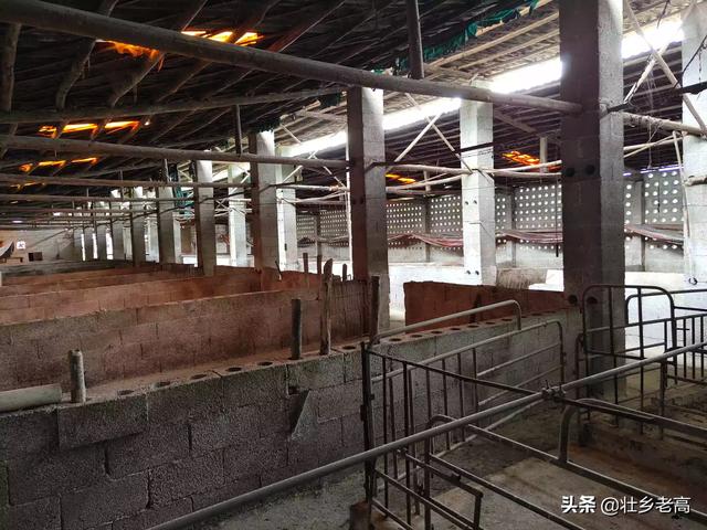 犬舍设计图:好想拥有一只这样的田园犬，去哪里能找得到呢？